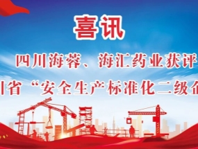 海蓉、海匯藥業(yè)獲評“安全生產(chǎn)標(biāo)準(zhǔn)化二級企業(yè)”